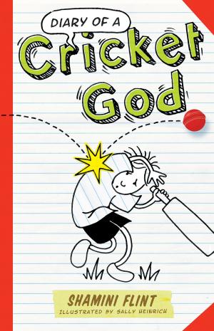 Book cover of Diary of a Cricket God