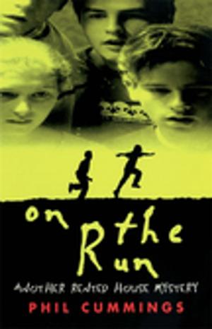 Cover of the book On The Run by Terry Smyth
