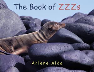 Cover of the book The Book of ZZZs by Ellie Marney