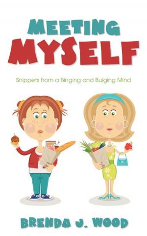 Book cover of Meeting Myself: Snippets from a Binging and Bulging Mind