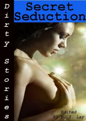 Book cover of Dirty Stories: Secret Seduction, Erotic Tales