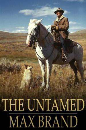 Cover of the book The Untamed by Booth Tarkington