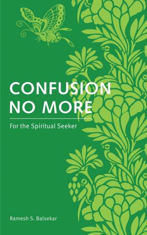Cover of the book Confusion No More by Tori Hartman
