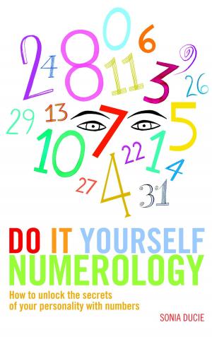 bigCover of the book Do It Yourself Numerology by 