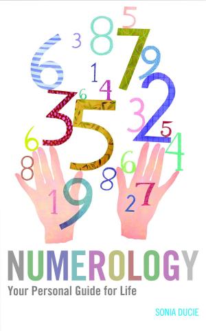 Cover of the book Numerology by K.W. Jeter