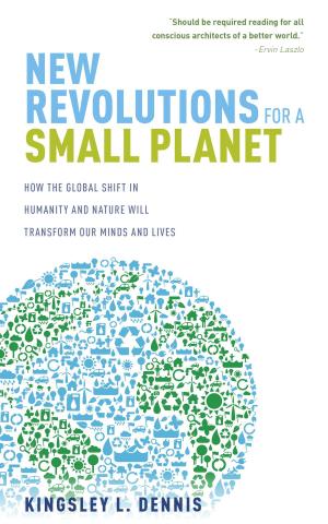 Book cover of New Revolutions for a Small Planet