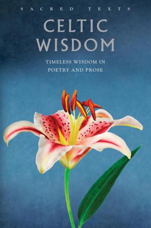 Cover of the book Celtic Wisdom by Ferrett Steinmetz