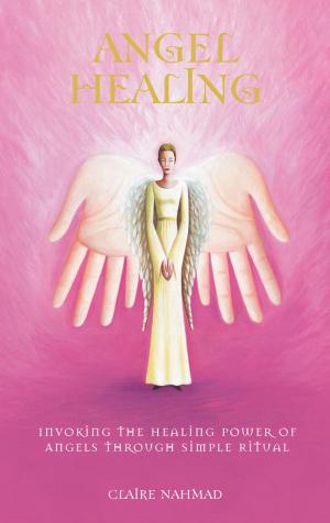 Cover of the book Angel Healing by David Tallerman