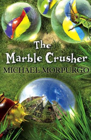 Cover of the book The Marble Crusher by Jill Tomlinson