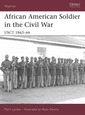 Cover of the book African American Soldier in the Civil War by David Fletcher