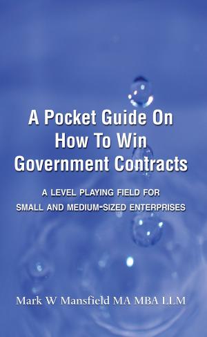 Cover of A Pocket Guide on How to Win Government Contracts