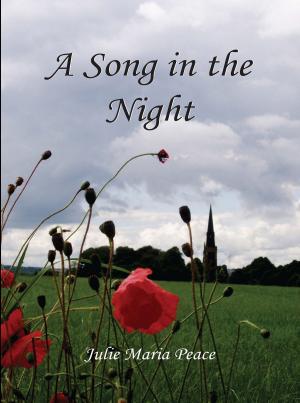 Cover of the book A Song in the Night by Mike Holman