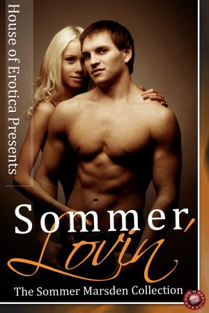 Cover of the book Sommer Lovin' by Kat Quickly