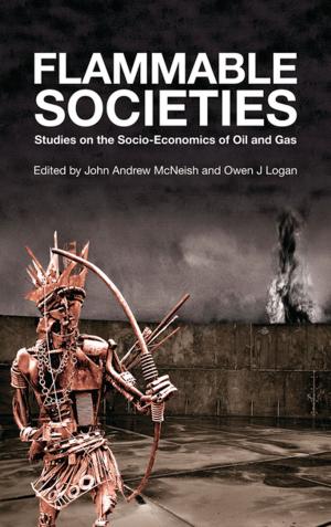 Cover of the book Flammable Societies by Jim Mac Laughlin