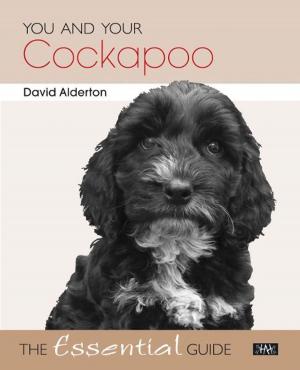 Cover of the book You and Your Cockapoo by Andrea & David Sparrow