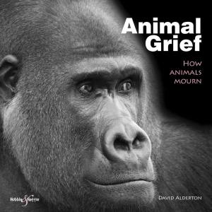 Cover of the book Animal Grief by Reid Trummel