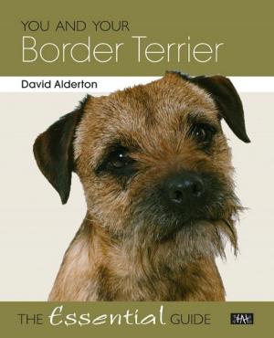 Cover of the book You and Your Border Terrier by Brian Long