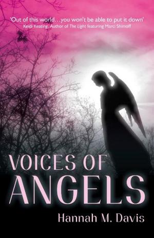 Cover of the book Voices of Angels by Terry Tapp
