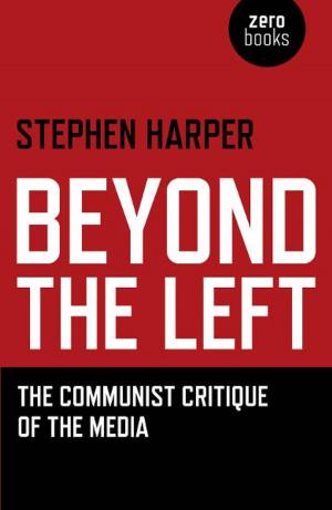 Cover of the book Beyond the Left by Michael Vincent