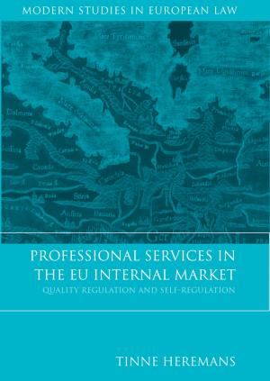 Cover of the book Professional Services in the EU Internal Market by Martin Flanagan, Andrew Livingstone, Mike McKenny