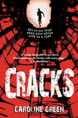 Cover of the book Cracks by Mark Lowery