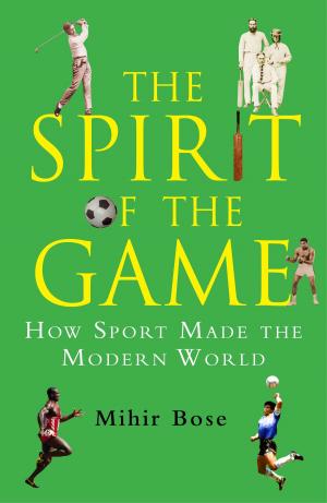 Cover of the book The Spirit of the Game by Stephen Dobyns