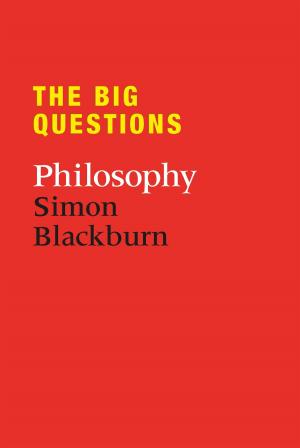 Cover of the book The Big Questions: Philosophy by Sebastien de Castell
