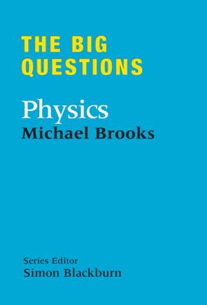 Cover of the book The Big Questions: Physics by Derek Robinson