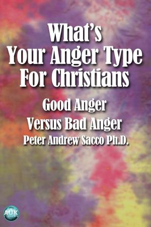 Cover of the book What's Your Anger Type for Christians by Nicky Raven