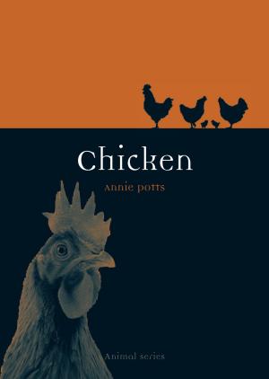 Cover of the book Chicken by Matthew Gandy