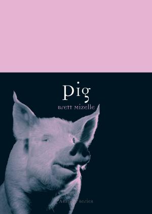 Book cover of Pig