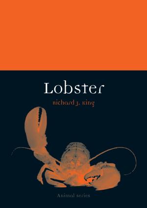 Cover of the book Lobster by William A.Campbell Jr