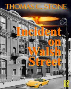 Book cover of Incident On Walsh Street