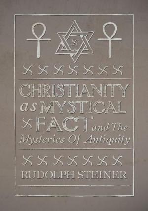 Cover of the book Christianity as Mystical Fact by Simon Parke