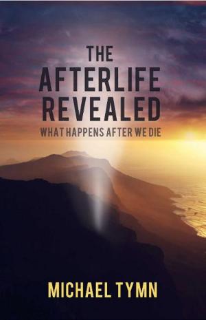 Cover of the book The Afterlife Revealed: What Happens After We Die by Simon Parke, Vincent Van Gogh
