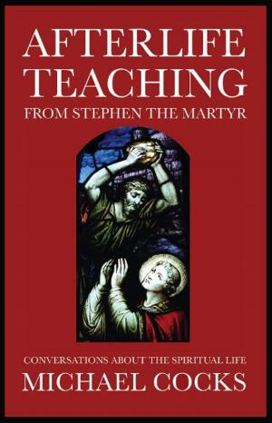 Cover of the book Afterlife Teaching from Stephen the Martyr by Sir William Barrett