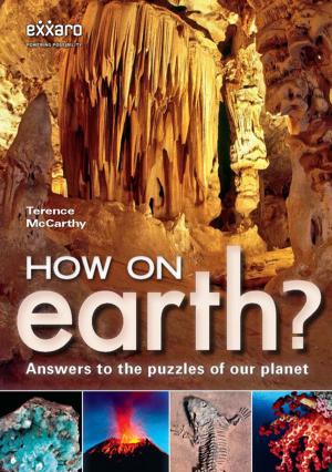 Cover of the book How on Earth? by Marlene van der Westhuizen