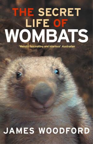 Book cover of The Secret Life of Wombats