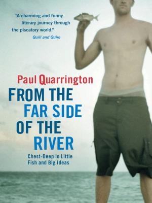 Cover of the book From the Far Side of the River by David McLean