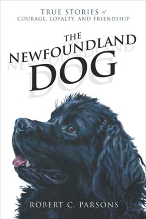 Book cover of The Newfoundland Dog: True Stories of Courage, Loyalty, and Friendship