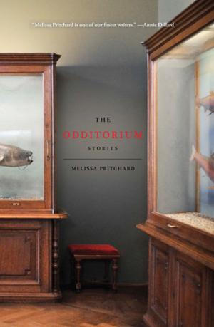 Cover of the book The Odditorium by Eduardo Halfon