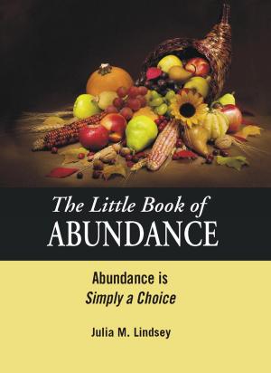 Cover of the book The Little Book of Abundance by Alison Marks