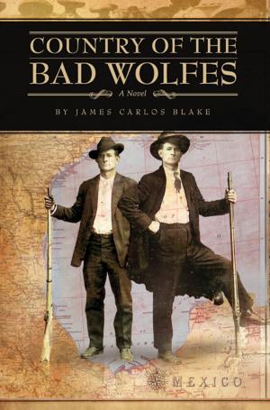 Cover of the book Country of the Bad Wolfes by S. Pitt