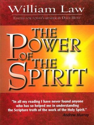 Cover of the book The Power of the Spirit by Amy Carmichael