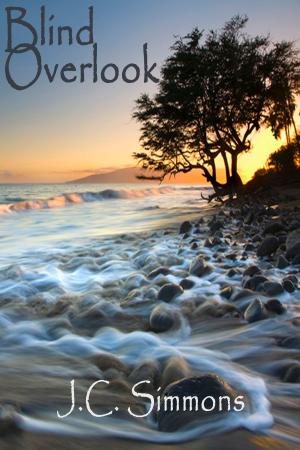 Cover of the book Blind Overlook by Patricia Otto