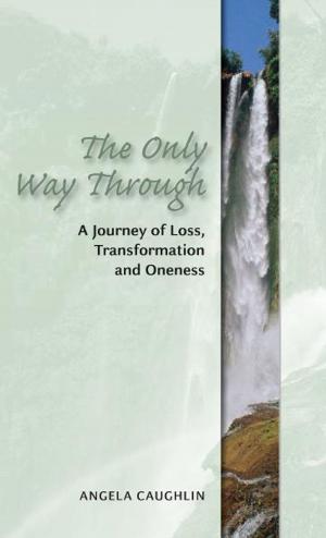 Cover of the book The Only Way Through by Susan Abel Lieberman Ph.D.
