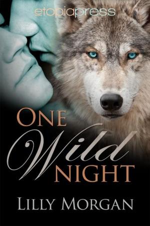 Cover of the book One Wild Night by Ally Shields