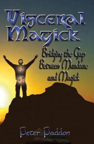 Cover of the book Visceral Magick by S. P. Hendrick