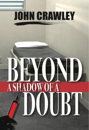 bigCover of the book Beyond a Shadow of a Doubt by 