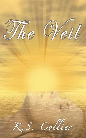 Cover of the book The Veil by Carol A. Strickland